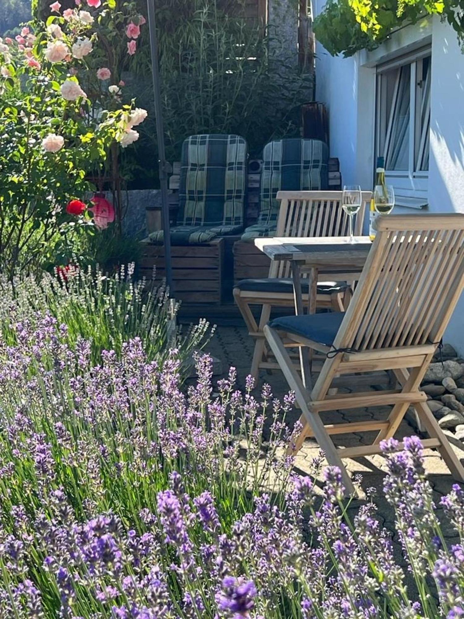 Ferienwohnung Jardin De Lavande Fridingen an der Donau ภายนอก รูปภาพ